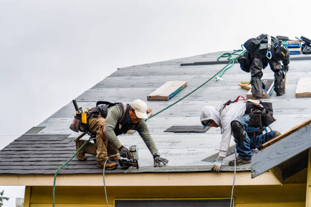 Professional Gutter Installation technician working in Montrose, AL